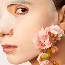 Load image into Gallery viewer, japanese cherry blossom sakura hydrating sheet mask snow fox skincare
